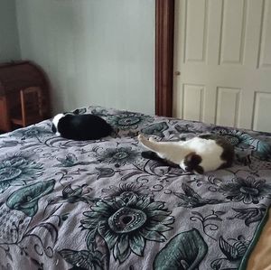 Meet your Posher, Debbie